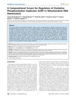 A Computational Screen for Regulators of Oxidative Phosphorylation Implicates SLIRP in Mitochondrial RNA Homeostasis