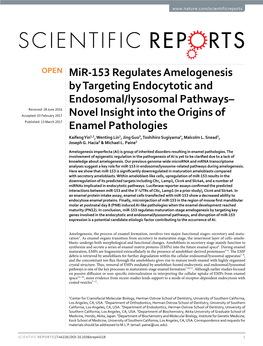 Mir-153 Regulates Amelogenesis by Targeting Endocytotic And