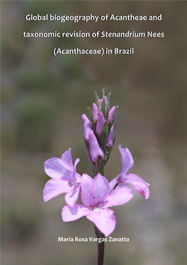 Acanthaceae) in Brazil