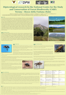 Dipterological Research by the National Centre for the Study and Conservation of Forest Biodiversity (CNBF) Verona – Bosco Della Fontana (Italy) Mason F