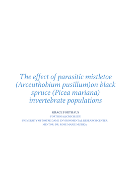 The Effect of Parasitic Mistletoe (Arceuthobium Pusillum)On Black Spruce (Picea Mariana) Invertebrate Populations