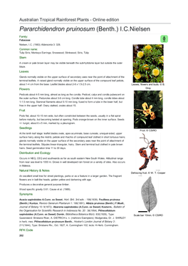 Pararchidendron Pruinosum (Benth.) I.C.Nielsen Family: Fabaceae Nielsen, I.C