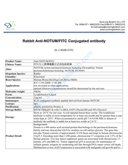 Rabbit Anti-NOTUM/FITC Conjugated Antibody