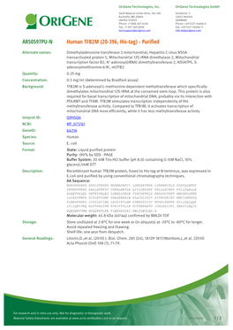 Human TFB2M (20-396, His-Tag) - Purified