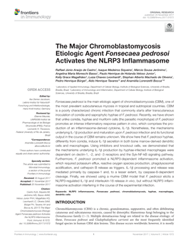 The Major Chromoblastomycosis Etiologic Agent Fonsecaea Pedrosoi Activates the NLRP3 Inflammasome