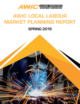 2019 Local Labour Market Planning Report