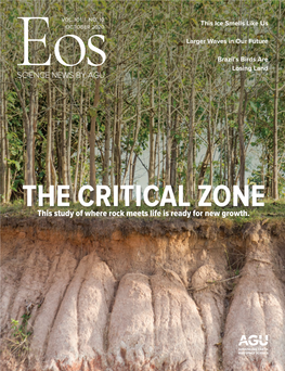 THE CRITICAL ZONE This Study of Where Rock Meets Life Is Ready for New Growth