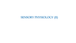 17 SENSORY Physiology II.Pdf