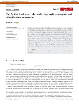 The Fly That Tried to Save the World: Saproxylic Geographies and Other‐Than‐Human Ecologies