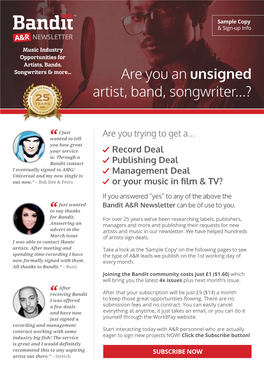Are You an Unsigned Artist, Band, Songwriter...?