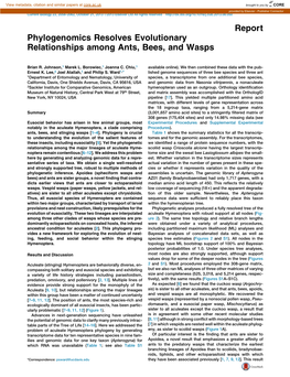 Phylogenomics Resolves Evolutionary Relationships Among Ants, Bees, and Wasps