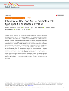 Interplay of BAF and MLL4 Promotes Cell Type-Specific Enhancer