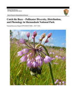 Catch the Buzz — Pollinator Diversity, Distribution, And