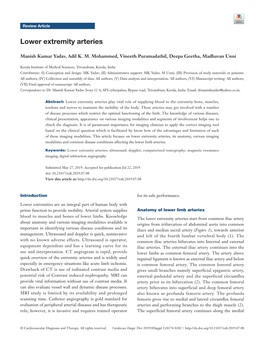 Lower Extremity Arteries