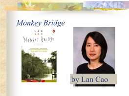 Monkey Bridge by Lan