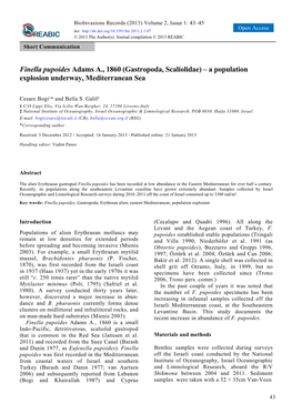 Finella Pupoides Adams A., 1860 (Gastropoda, Scaliolidae) – a Population Explosion Underway, Mediterranean Sea