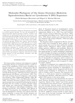 Rodentia: Sigmodontinae) Based on Cytochrome B DNA Sequences Cibele Rodrigues Bonvicino and Miguel A