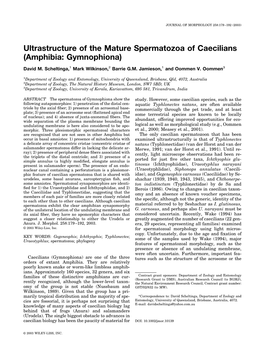 Ultrastructure of the Mature Spermatozoa of Caecilians (Amphibia: Gymnophiona)