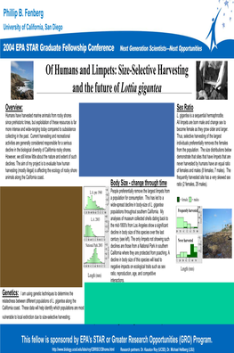 Of Humans and Limpets: Size-Selective Harvesting and the Future of Lottia Gigantea