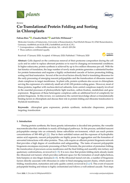 Co-Translational Protein Folding and Sorting in Chloroplasts