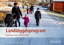 Landsbygdsprogram Falu Kommun 2018–2030