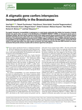 A Stigmatic Gene Confers Interspecies Incompatibility in the Brassicaceae