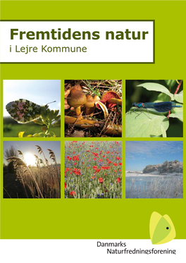 Fremtidens Natur I Lejre Kommune Kattinge Vig