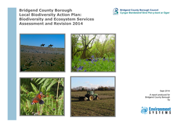 Bridgend County Borough Local Biodiversity Action Plan: Biodiversity and Ecosystem Services Assessment and Revision 2014