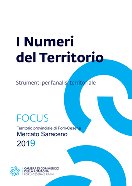 Mercato Saraceno 2019