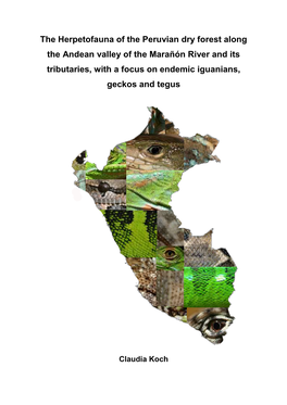 The Herpetofauna of the Peruvian Dry Forest Along the Andean Valley of the Marañón River and Its Tributaries, with a Focus on Endemic Iguanians, Geckos and Tegus