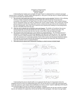 Elongation of Fungal Hyphae [Hyphalgrowth.Doc] David E