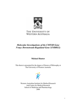 Molecular Investigations of the CMT4D Gene N-Myc Downstream-Regulated Gene 1(NDRG1)