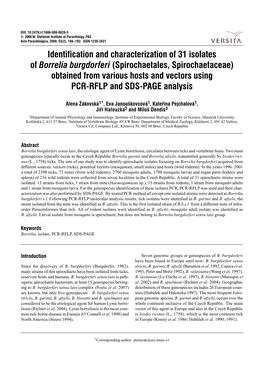 Identification and Characterization of 31 Isolates of Borrelia Burgdorferi