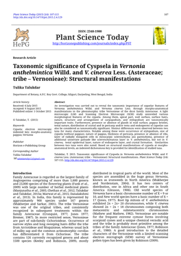 Taxonomic Significance of Cyspsela in Vernonia Anthelmintica Willd