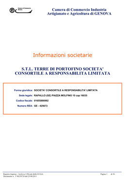 Informazioni Societarie STL Di Portofino