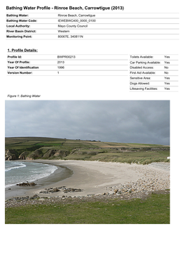 Bathing Water Profile - Rinroe Beach, Carrowtigue (2013)