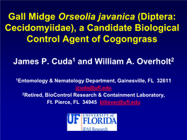 Gall Midge Orseolia Javanica (Diptera: Cecidomyiidae), a Candidate Biological Control Agent of Cogongrass