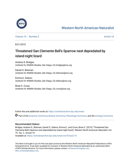 Threatened San Clemente Bell's Sparrow Nest Depredated by Island Night Lizard