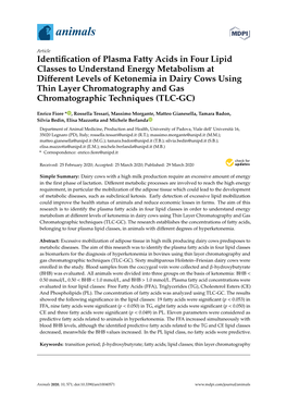 Identification of Plasma Fatty Acids in Four Lipid Classes to Understand Energy Metabolism at Different Levels of Ketonemia in D