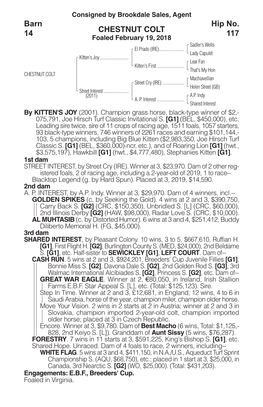 CHESTNUT COLT Barn 14 Hip No