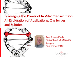 Leveraging the Power of in Vitro Transcription: an Exploration of Applications, Challenges and Solutions