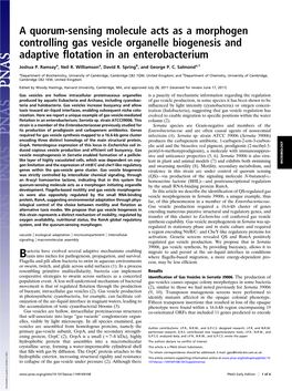 A Quorum-Sensing Molecule Acts As a Morphogen Controlling Gas Vesicle Organelle Biogenesis and Adaptive ﬂotation in an Enterobacterium