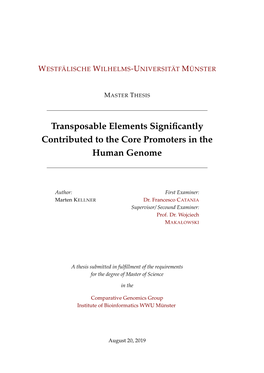 Transposable Elements Significantly Contributed to the Core