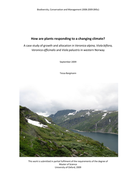 How Are Plants Responding to a Changing Climate?