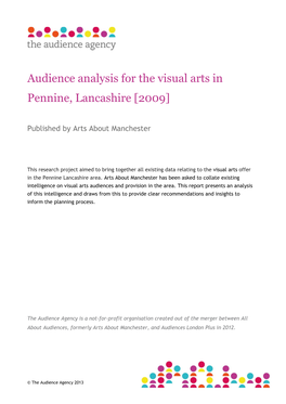 Audience Analysis for the Visual Arts in Pennine, Lancashire [2009]