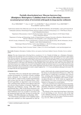 Hemiptera: Heteroptera: Cydnidae) from Cerová (Slovakia) Documents Occasional Preservation of Terrestrial Arthropods in Deep-Marine Sediments