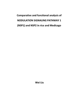 NSP1) and NSP2 in Rice and Medicago