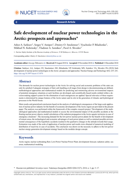 Safe Development of Nuclear Power Technologies in the Arctic: Prospects and Approaches*