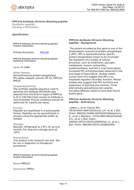 PPP1CA Antibody (N-Term) Blocking Peptide Synthetic Peptide Catalog # Bp13424a