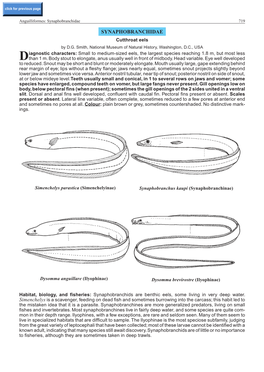 Synaphobranchidae 719